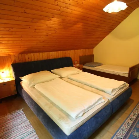 Comfortable Mansion In Wolfsberg Near Ski Area Goding