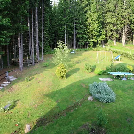 Comfortable Mansion In Wolfsberg Near Ski Area